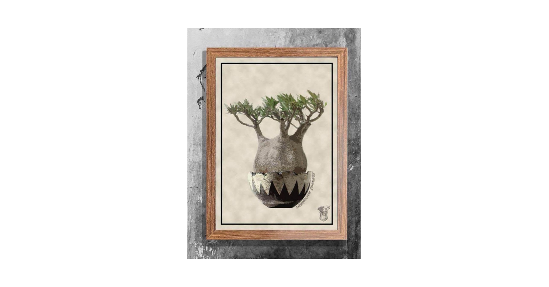 非売 Pachypodium Flower ポスター 光沢紙 額装付 グラキリス 非売 Pachypodium Flower ポスター 光沢紙 額装付 グラキリス